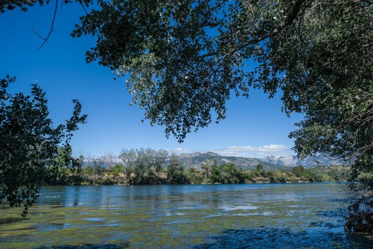 Fotografia de la ribera del rio Ebro con algas en el entorno de la casa rural Lo maset de Carmeta en Tivenys, Tarragona