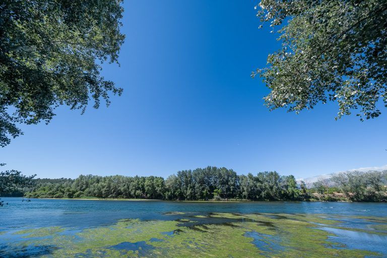 Fotografia de la ribera del rio Ebro con arboles en el entorno de la casa rural Lo maset de Carmeta en Tivenys, Tarragona