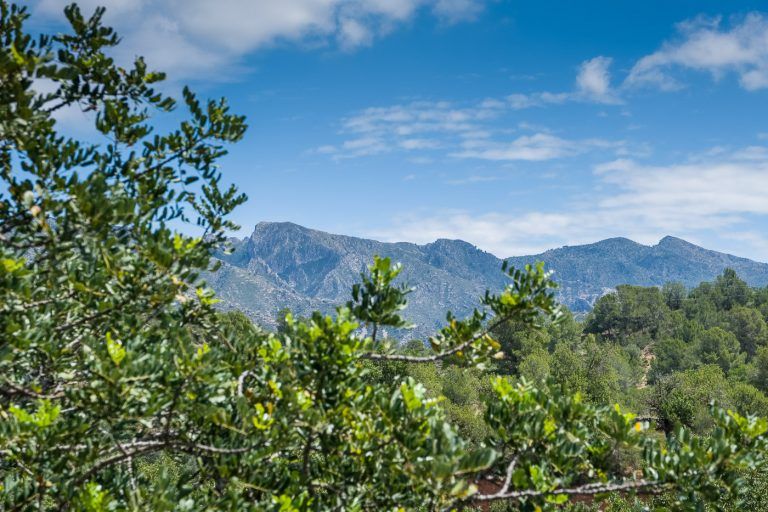Fotografia de las montanas dels ports en el entorno de la casa rural Lo maset de Carmeta en Tivenys, Tarragona