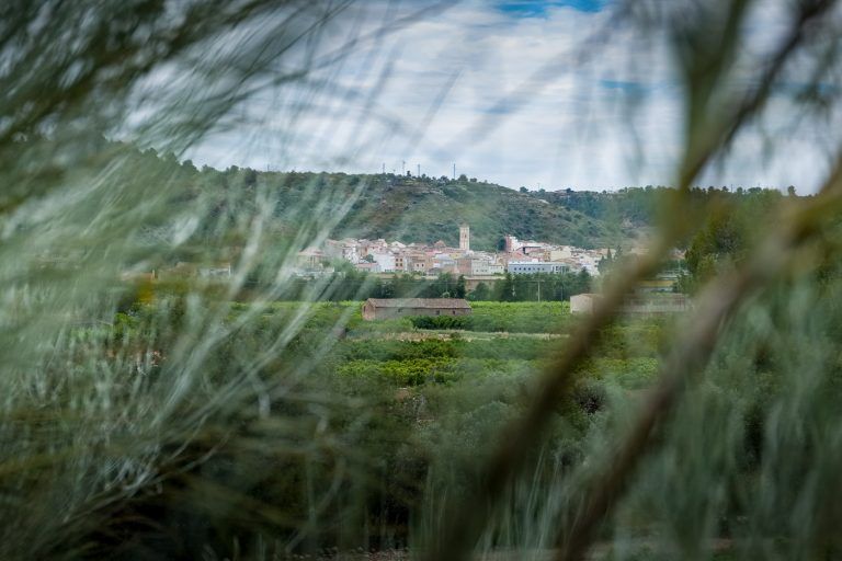 Fotografia del pueblo de Tivenys a traves de arboles en el entorno de la casa rural Lo maset de Carmeta en Tivenys, Tarragona