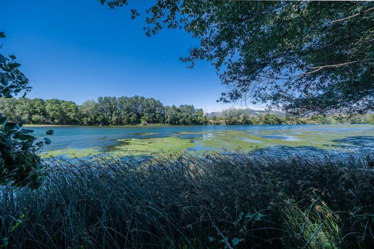 Fotografia del rio Ebro con vegetacion en el entorno de la casa rural Lo maset de Carmeta en Tivenys, Tarragona