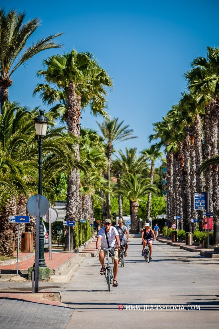 Avenida principal del camping Vendrell Platja