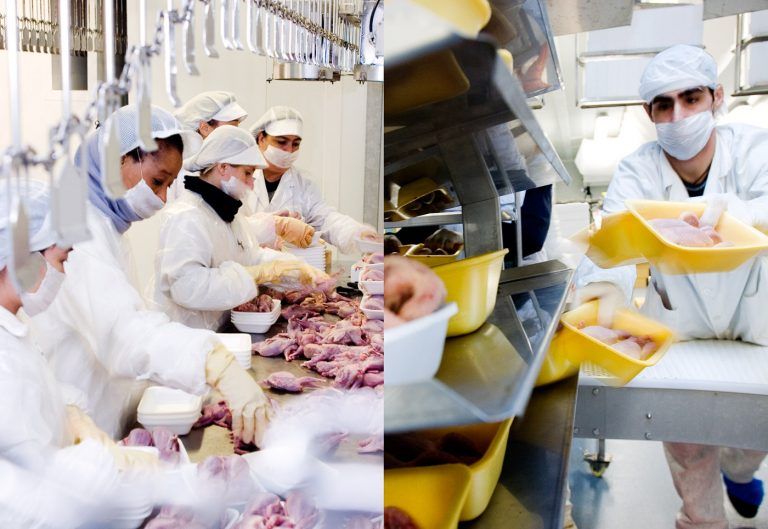 Cadena de envasado en las instalaciones agroalimentarias URGASA
