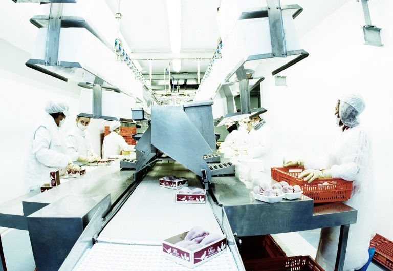 Cadena de manipulado en las instalaciones agroalimentarias URGASA