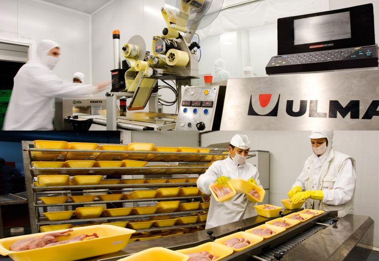 Envasado en las instalaciones agroalimentarias URGASA