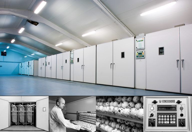 Incuvadoras en las instalaciones agroalimentarias URGASA