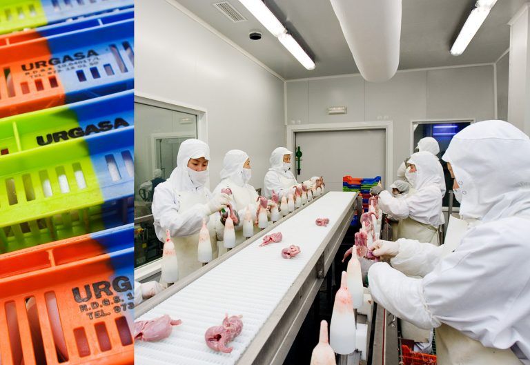 Manipulado de alimentos en las instalaciones agroalimentarias URGASA