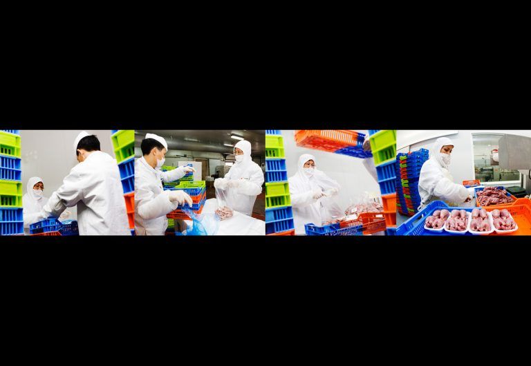 Manipulado y envasado en las instalaciones agroalimentarias URGASA