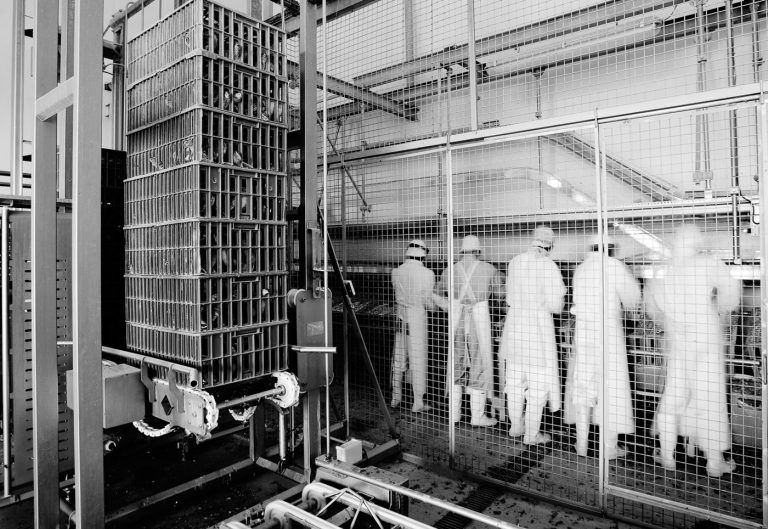 Operarios en matadero de las instalaciones agroalimentarias URGASA