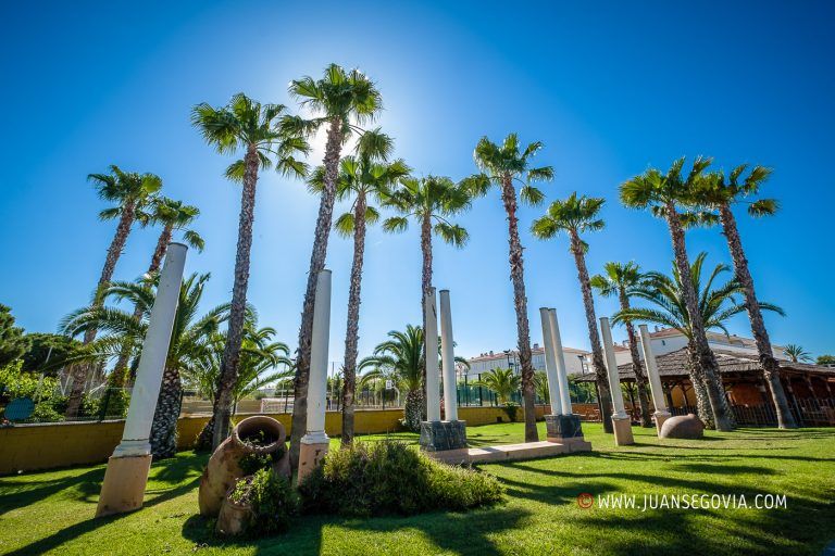 Palmeras del camping Vendrell Platja