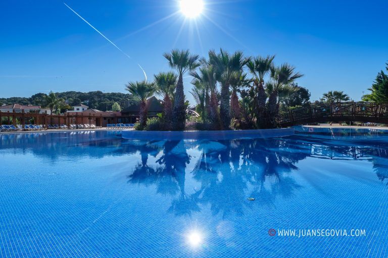 Piscina y palmeras en el camping Torre de la Mora