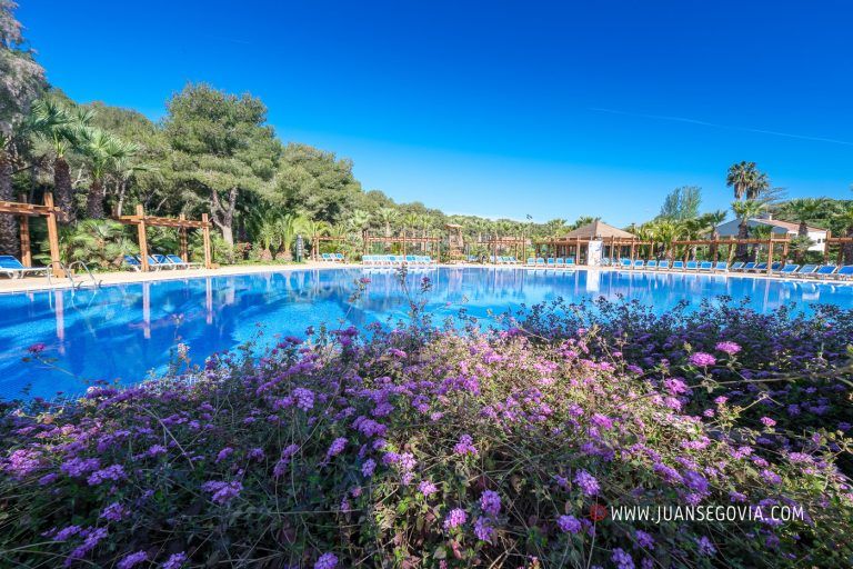 Piscina y vegetacion en el camping Torre de la Mora