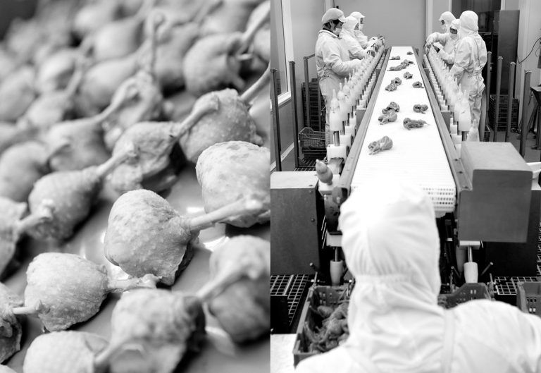 Procesado de alimentos en las instalaciones agroalimentarias URGASA