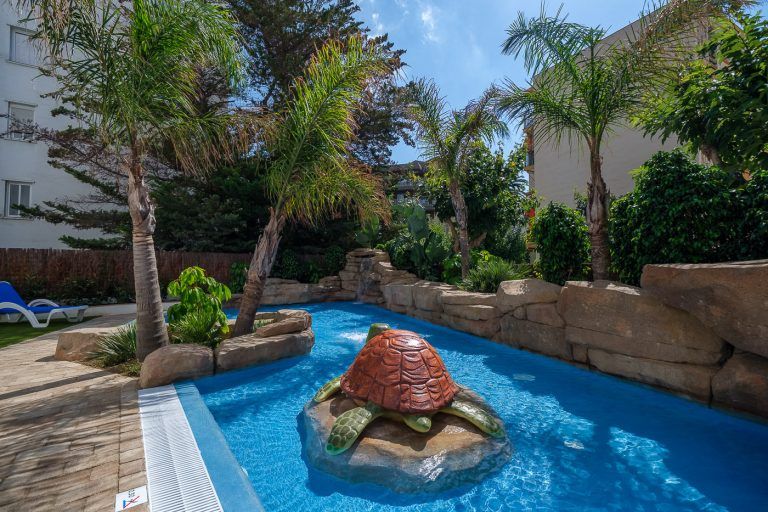 Tortuga en la piscina en apartamentos Ancora de Salou Tarragona