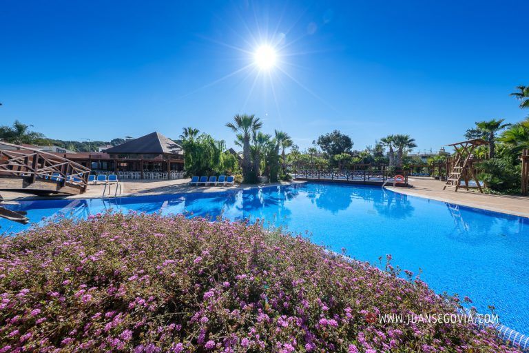 Vegetacion y piscina en el camping Torre de la Mora